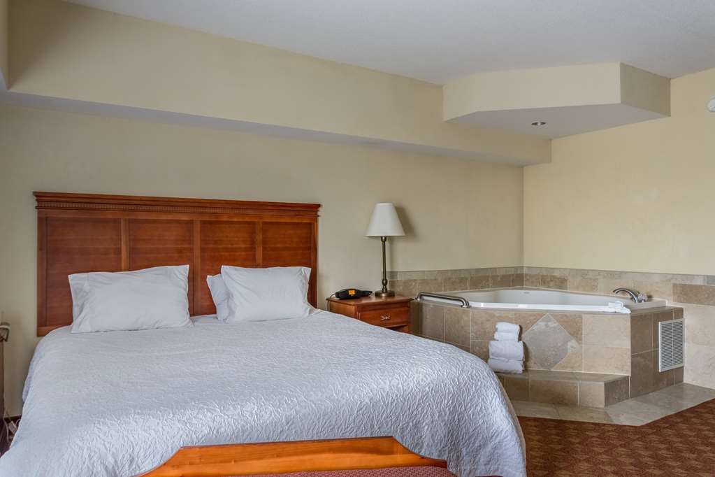 Hampton Inn & Suites Knoxville-Downtown Pokój zdjęcie